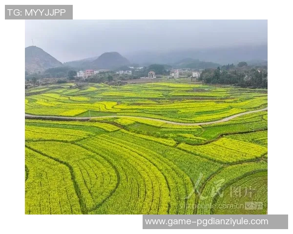 pg电子双喜临门在哪玩-揭秘，pg电子双喜临门的位置及其吸引力-pg电子双喜临门在哪玩
